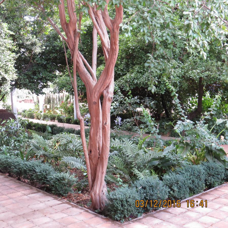 Hotel Boutique Quinta Maria Santa Cruz Buitenkant foto