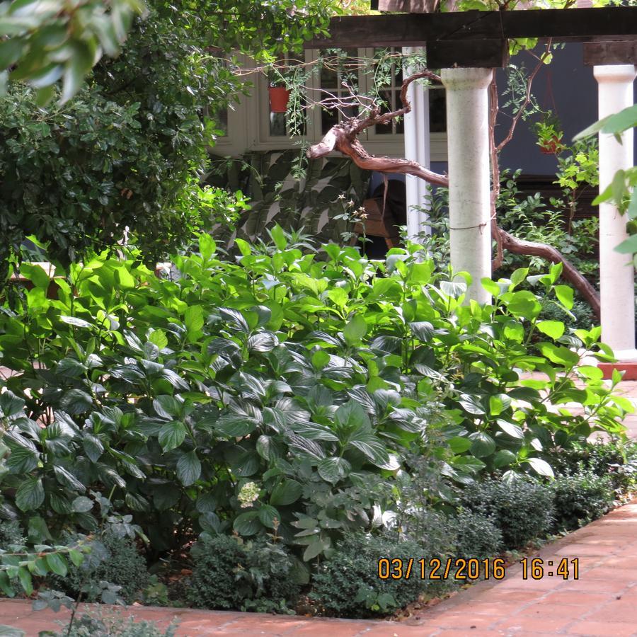Hotel Boutique Quinta Maria Santa Cruz Buitenkant foto