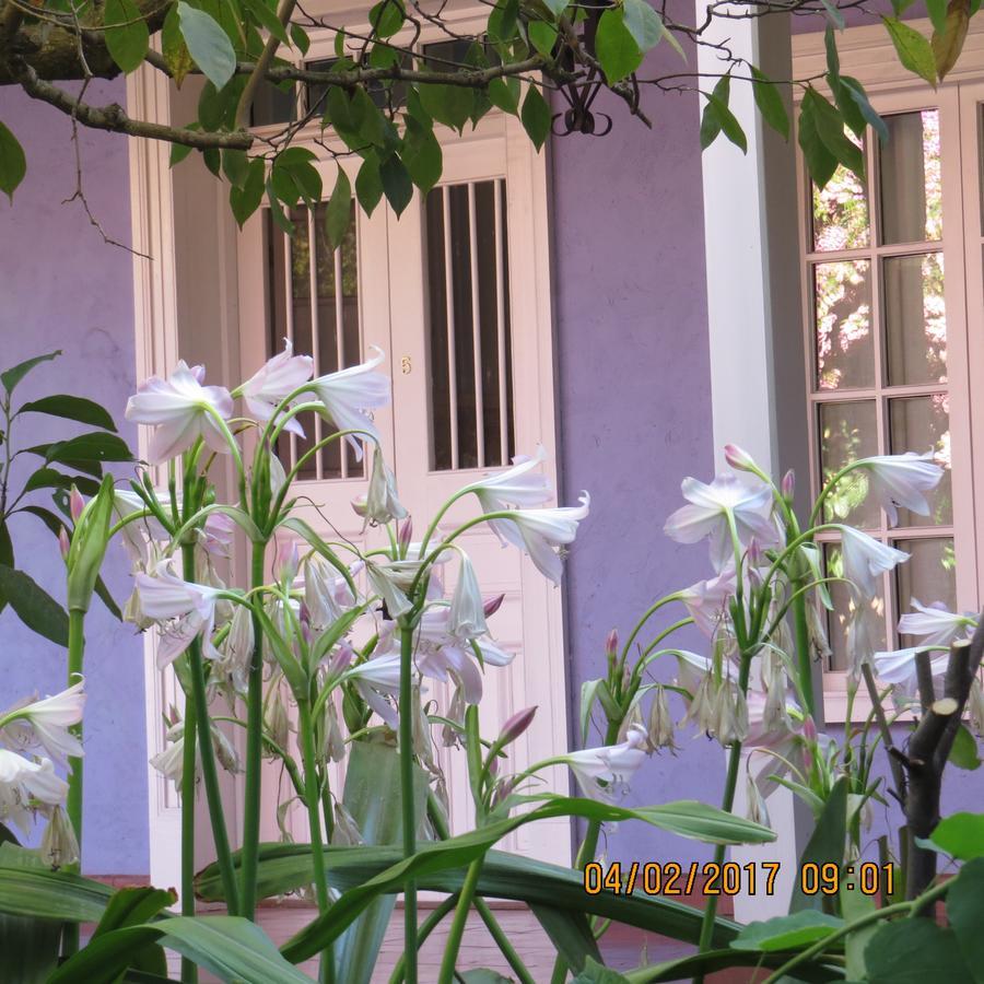 Hotel Boutique Quinta Maria Santa Cruz Buitenkant foto