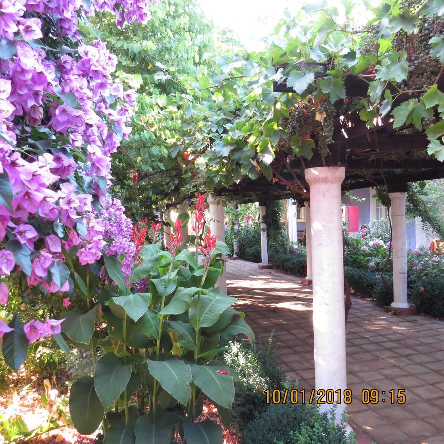 Hotel Boutique Quinta Maria Santa Cruz Buitenkant foto