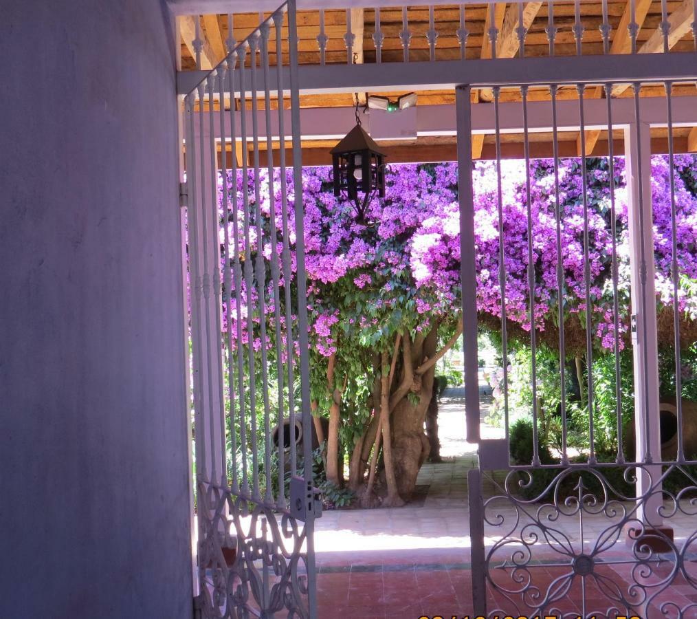 Hotel Boutique Quinta Maria Santa Cruz Buitenkant foto